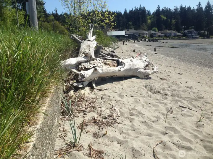 Amazing walking, cycling and beach combing opportunities!  Live Life Now!