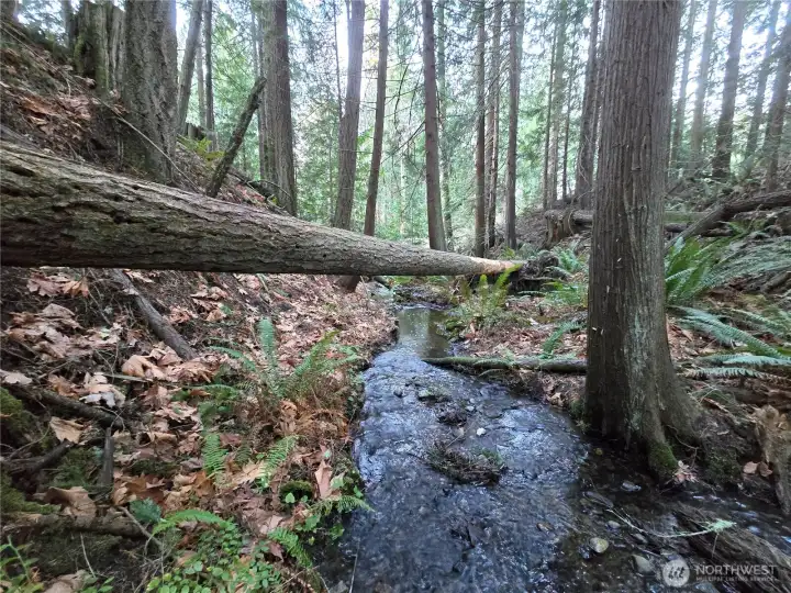 1.99 acres total with seasonal creek