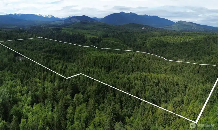 Approximate lot lines