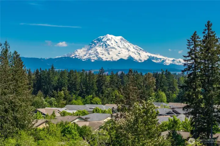 Stunning view of Mt. Rainier as you turn into your neighborhood!