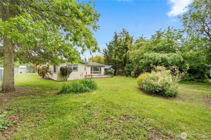 1/2 acre lot with mature trees