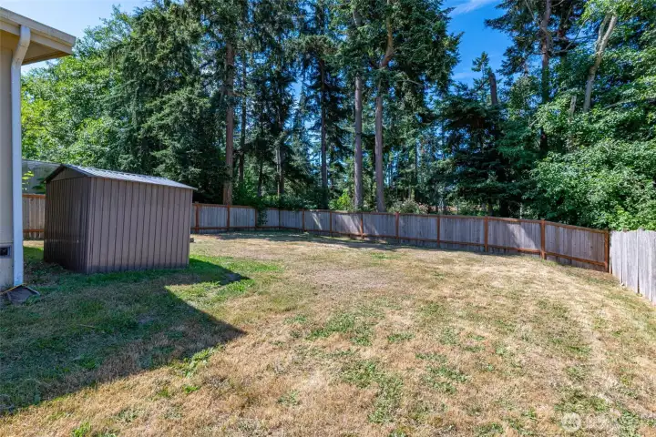 Large backyard