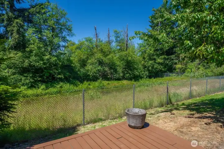 VIEW OF THE GREEN BELT OFF THE BACK YARD ADDS TO THE PRIVACY AND TRANQUILTY