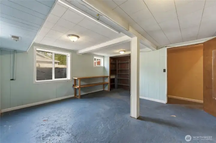 Bedroom #3 - Basement