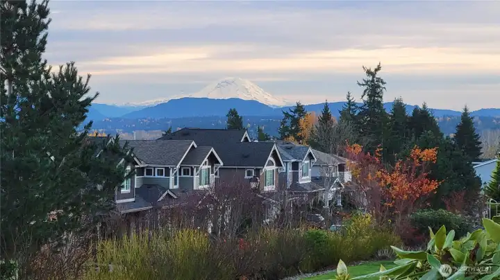 Mount Rainier views from the neighborhood park.