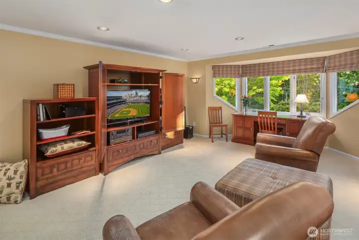 Bonus room with windows on both sides of the room and a ginormous storage closet.