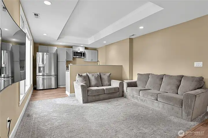basement living room basement living room