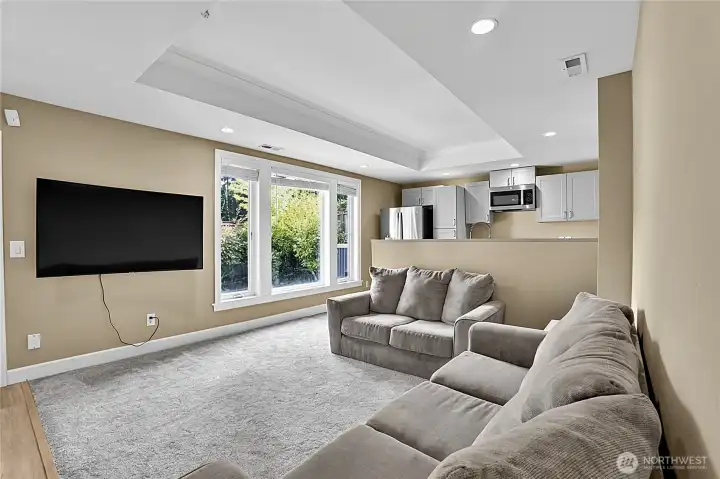 basement living room basement living room