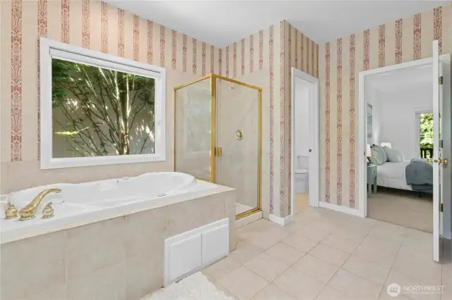 Primary bath jacuzzi tub, separate shower and private WC.
