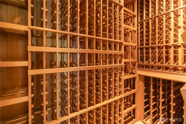 Temperature-controlled wine celler holds over 500 bottles.