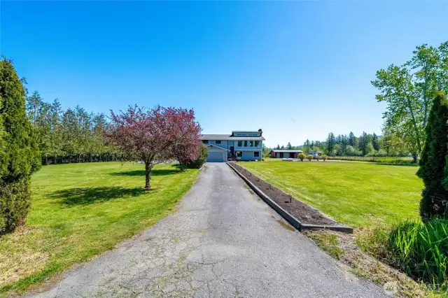 A long private driveway set off the main road opens up to a circular driveway and a beautifully maintained yard with mature fruit trees and thriving blueberry bushes—perfect for anyone looking to embrace country living.