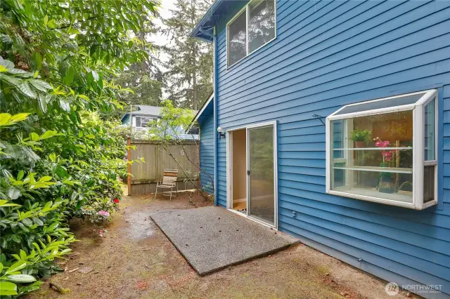 back yard