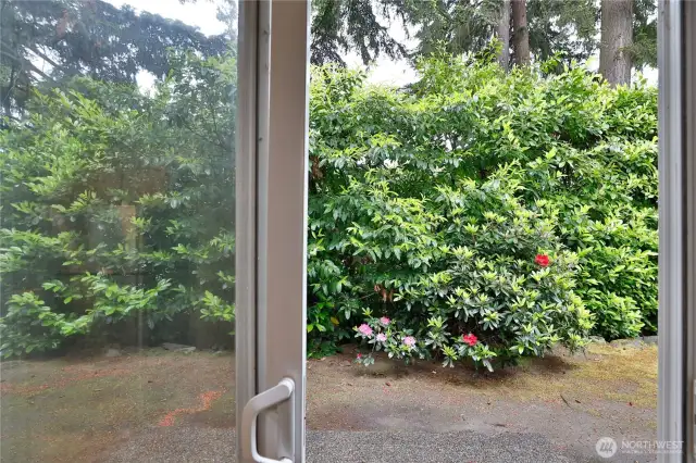 sliding door to backyard