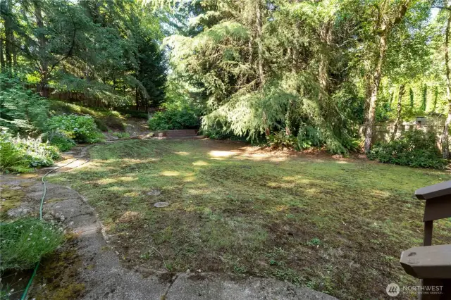 Another view of the backyard, must see to appreciate the privacy!