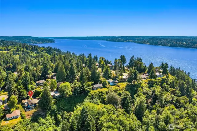 Come see all Vashon Island has to offer; shops, music and the arts are all thriving here.