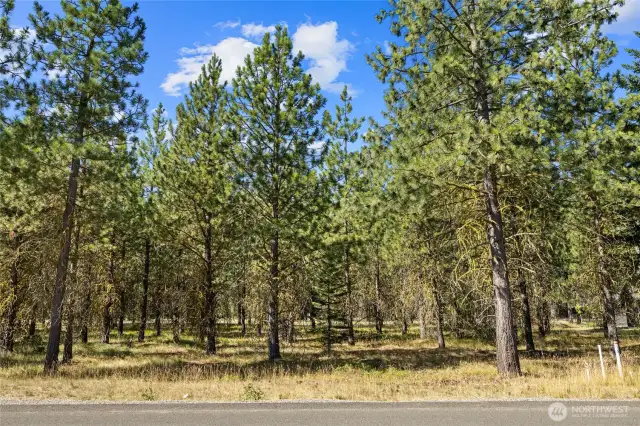 Street view of homesite