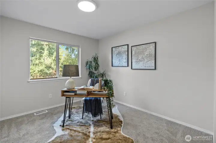 Brand new carpet