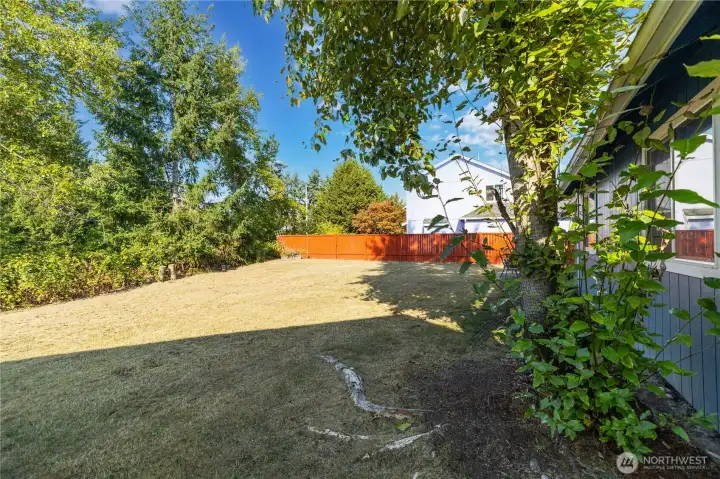 HUGE FLAT YARD