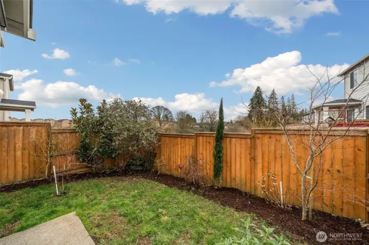 Backyard - Fenced