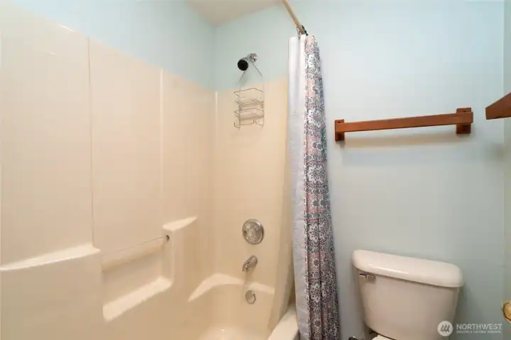 Lower level guest bath