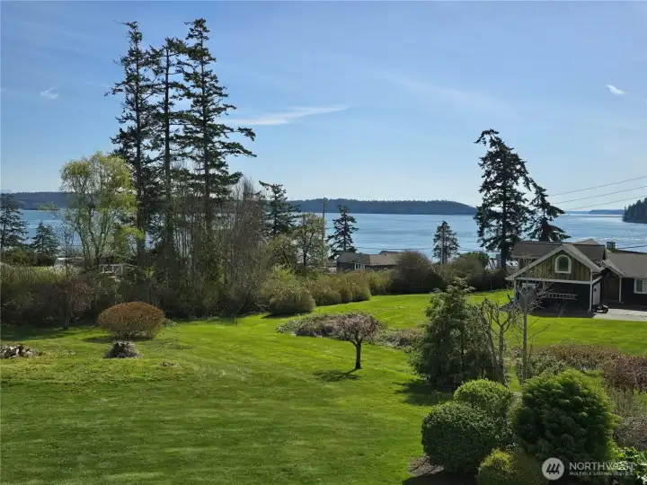 View from all rooms on main level