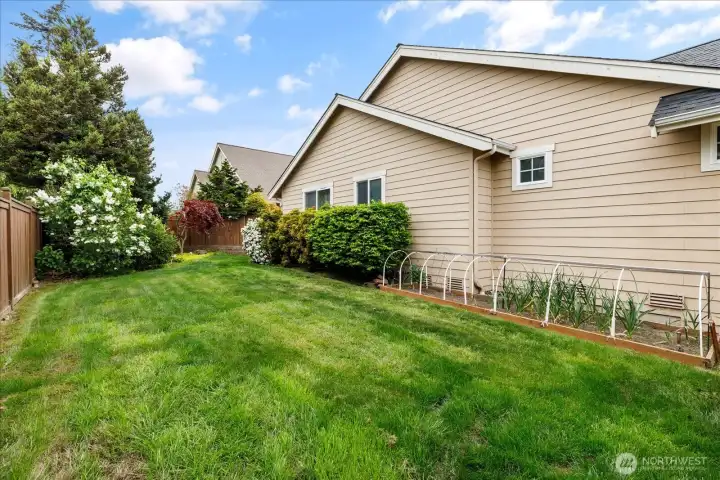 More of the backyard with a large grass area, and planters to grow your own favorite vegetables.