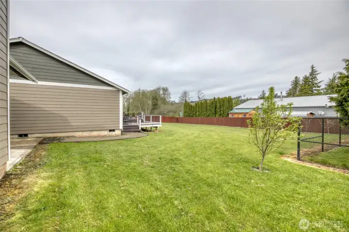 Backyard