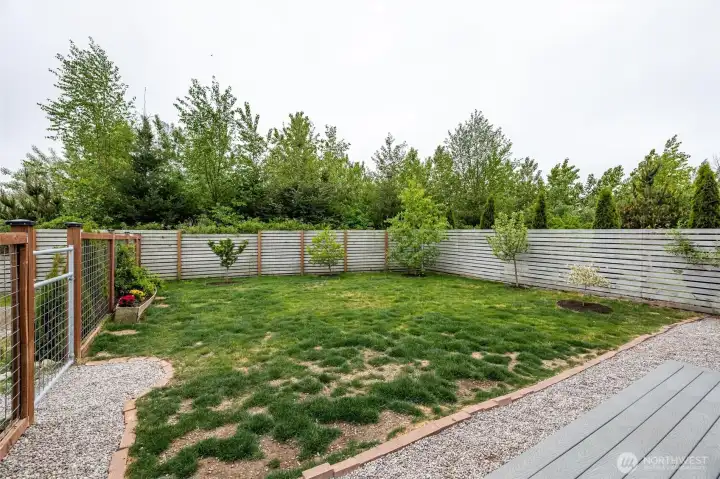 Backyard backs to Green area