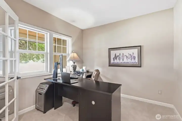 French doors off the foyer lead to the main floor study.
