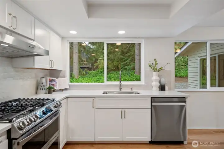 Kitchen with backyard & deck views - new lighting, cabinets & appliances