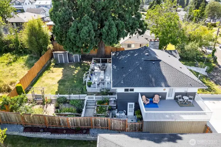 Drone view from the back this home it  has an Amazing Giant Sequoia tree 100 to 150 years old it's Amazing!