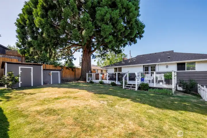 There are 2 storage sheds in the back & view from the back of the 2nd deck off the office room & the Giant Sequoia- They represent Longevity, Resilience ,Strength & Wisdom