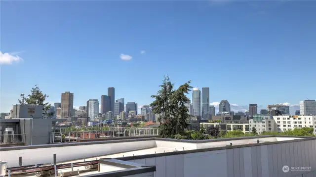 365 degree View Rooftop w/ BBQ area, party space, & a dog park