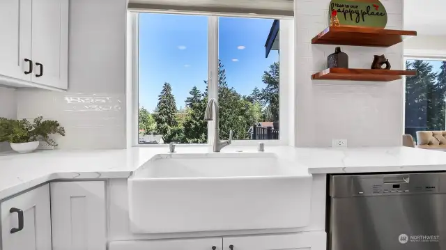 FARM SINK/VIEW WINDOW