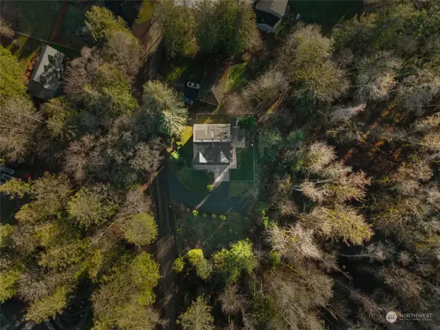 As you can see this home is situated in a private wooded setting.
