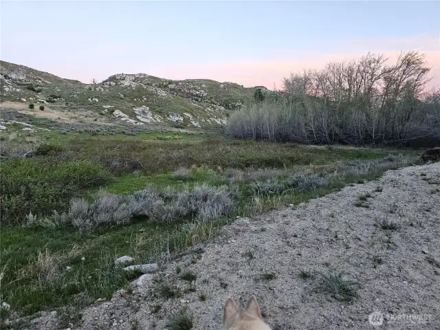 Road into property