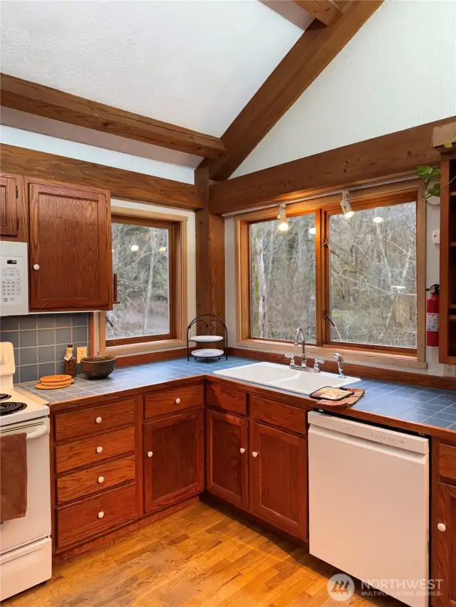 Sink overlooking the sprawling yard space!