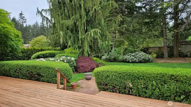 The deck is giant, and the yard is gorgeous!