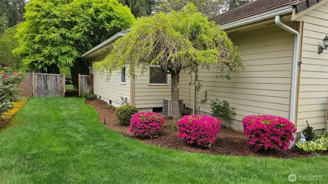 Fully fenced backyard has entrances on each side of the house.