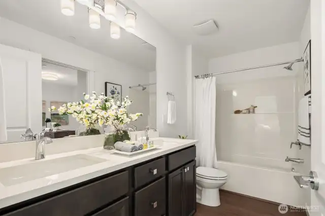*Interior photos are from model home.