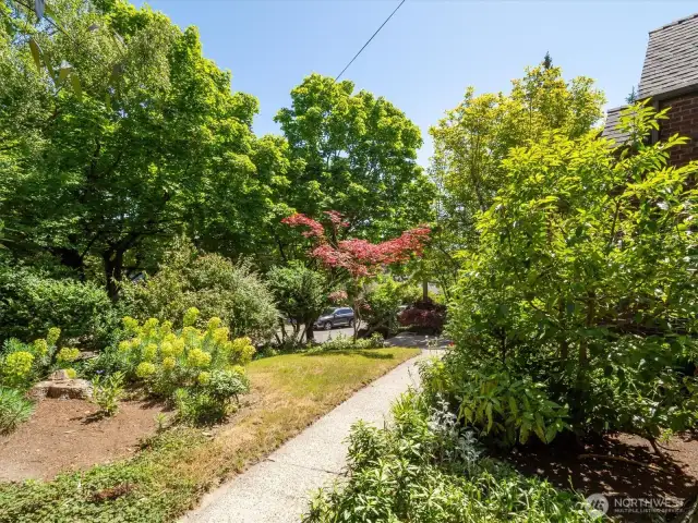 Looking from the front yard to the street.