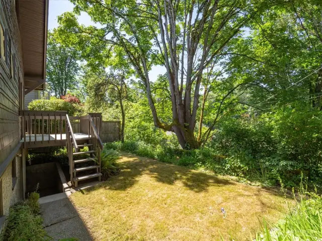 The level backyard sits above the alley.