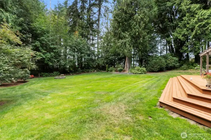 Fully Fenced Yard