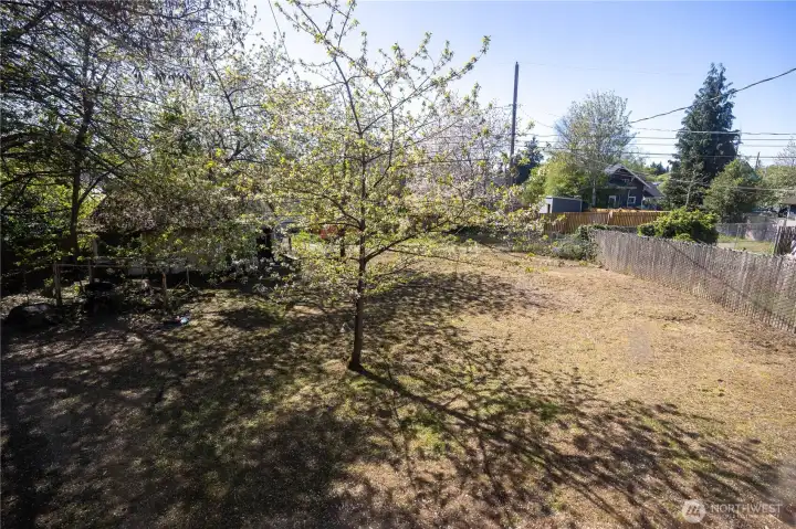 Ready for your vision, this yard has tons of mature landscaping and is quite lovely when in bloom (and not cut back.)