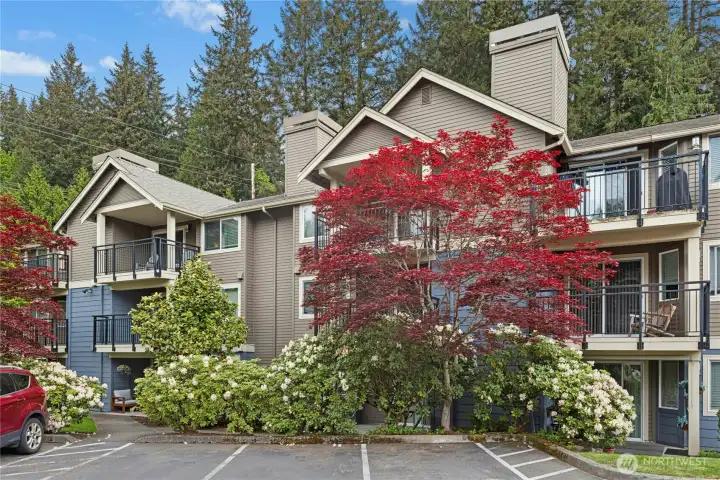 Looking for a nice condo with a great location? Look no further! This 2 bedroom condo is just 1/2 mile from downtown Bothell.
