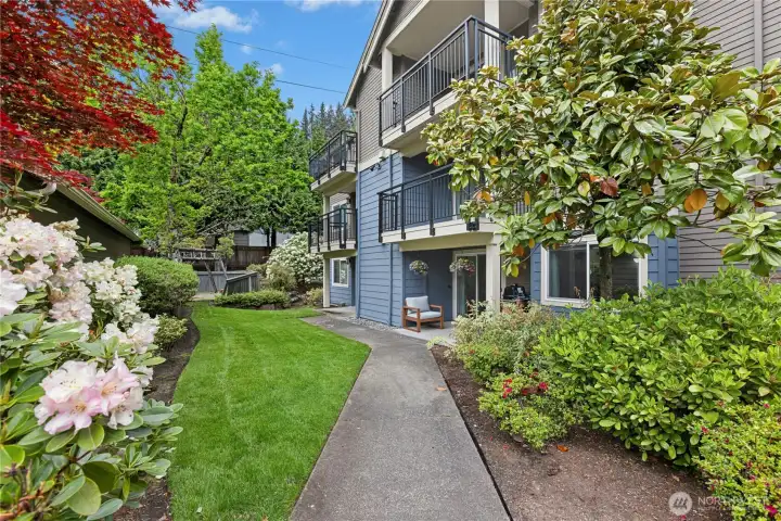 This garden level condo enjoys a lush grassy area, beautiful flowering bushes and mature trees.