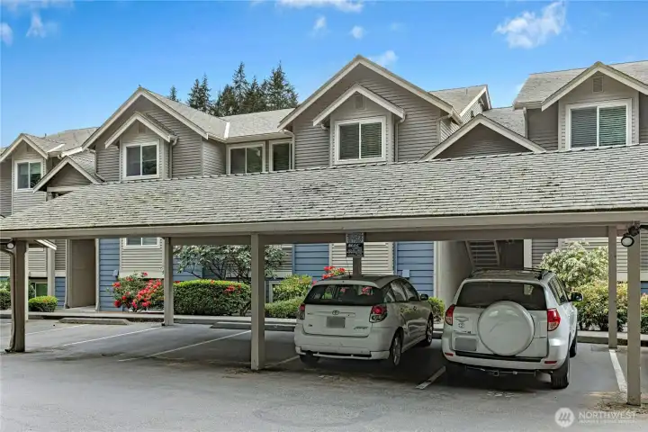 D103 is in the back of the complex. This condo has 2 assigned parking spots. Here you see the covered parking spot 57 which is just outside D103.