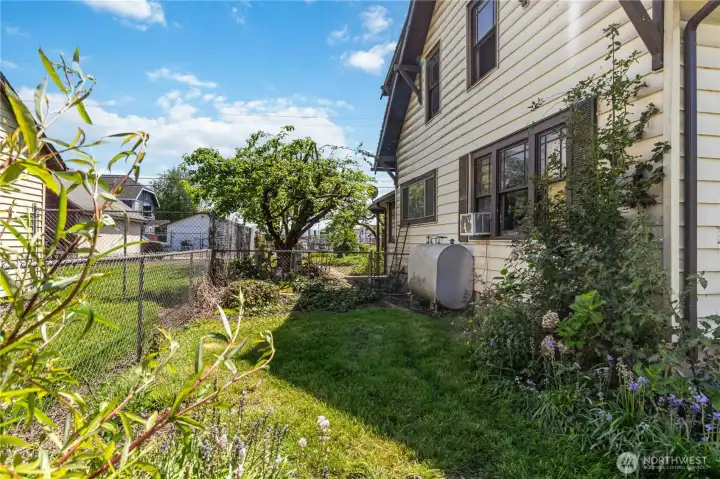 Side Yard