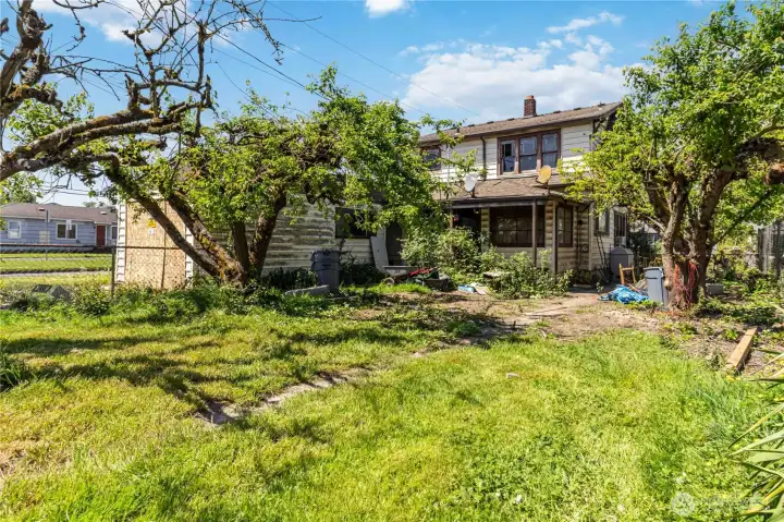 Backyard
