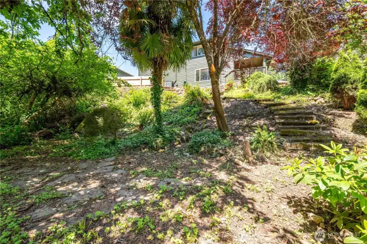 Tranquil area in the back yard